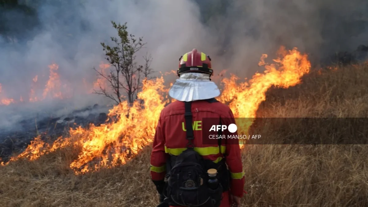 El Gobierno de España declaró zona catastrófica tras los incendios que devastaron gran parte del territorio y cobraron vidas humanas.