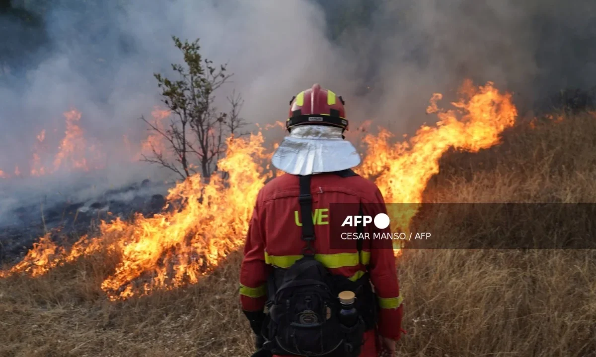 El Gobierno de España declaró zona catastrófica tras los incendios que devastaron gran parte del territorio y cobraron vidas humanas.