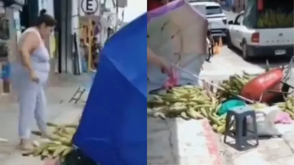 Llaman ‘Lady elotes’ a mujer acusada por tirar puesto de un adulto mayor en Veracruz.