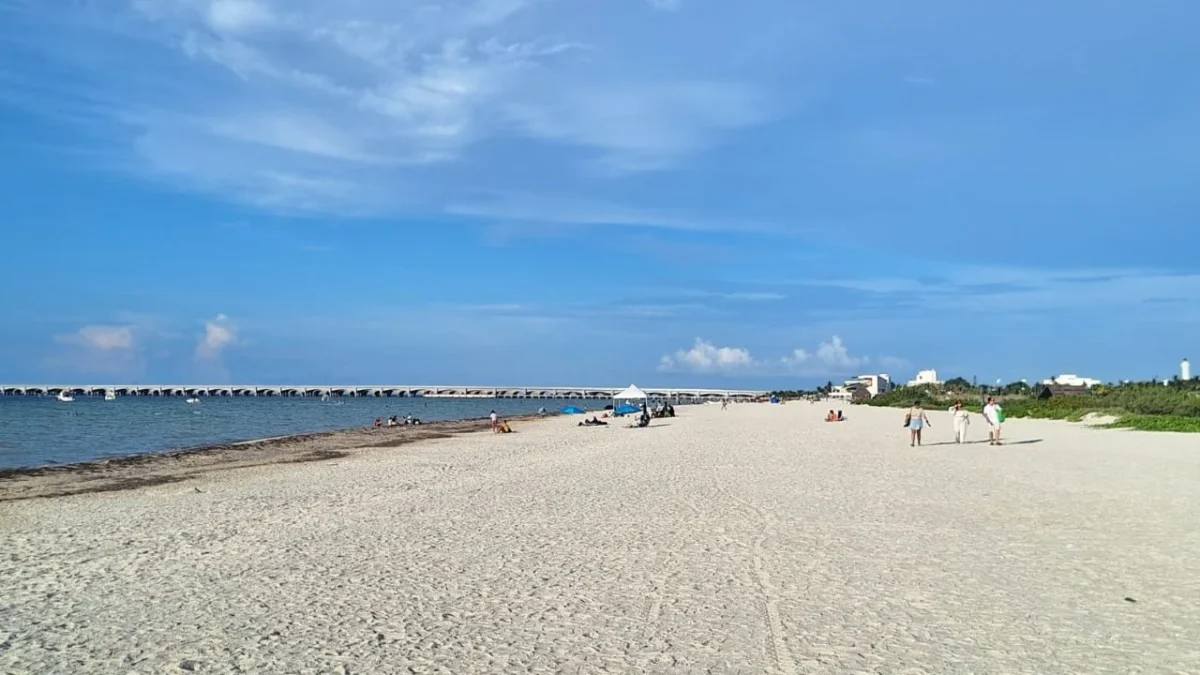 Por la marea roja en Yucatán, suspenden captura del molusco y genera impacto económico a los trabajadores del mar, señalan líderes.