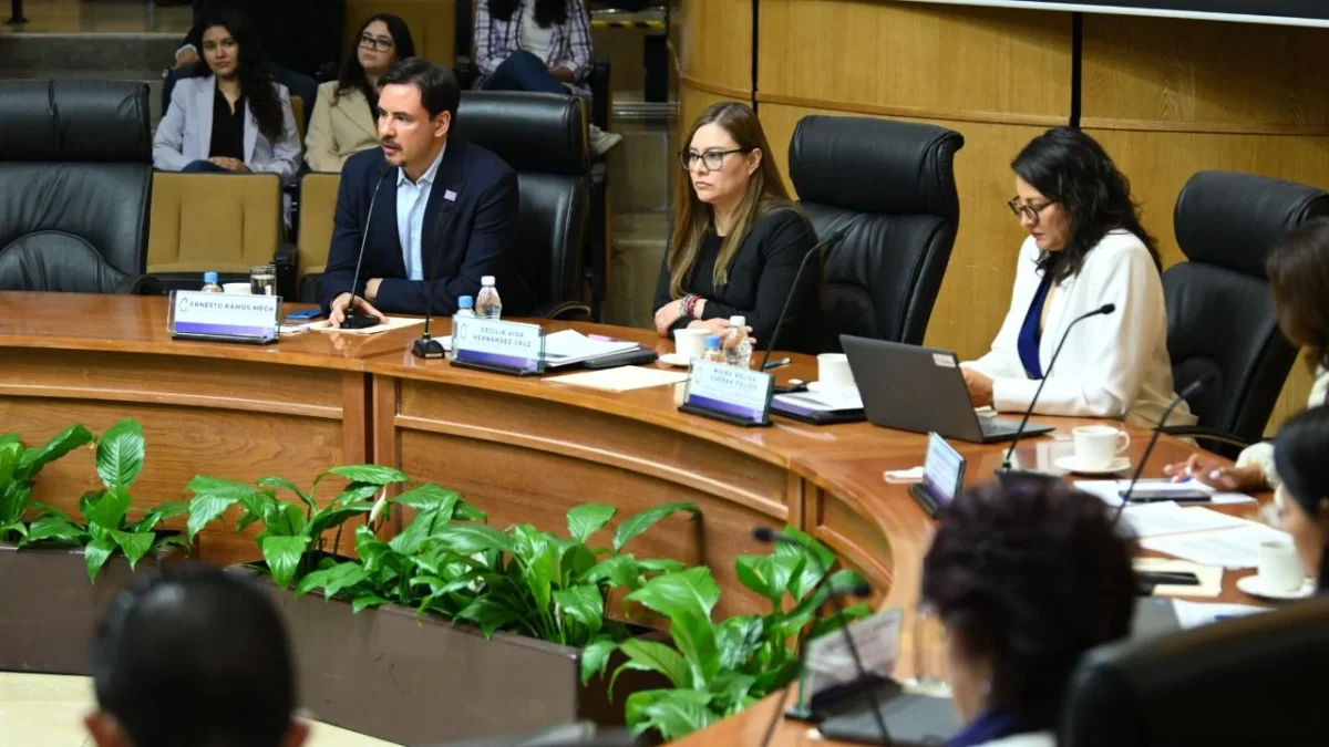 Necesario reformar Ley de Participación Ciudadana para transparentar presupuesto participativo, señaló el Instituto Electoral de la Ciudad de México (IECM).