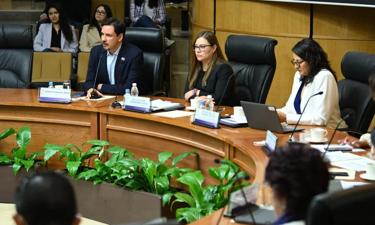 Necesario reformar Ley de Participación Ciudadana para transparentar presupuesto participativo, señaló el Instituto Electoral de la Ciudad de México (IECM).