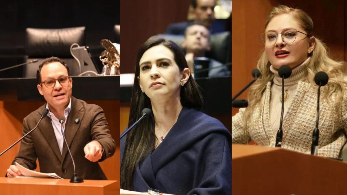 Senadores de oposición cuestionan la legitimidad de una reforma electoral propuesta por el Ejecutivo y el partido en el poder.