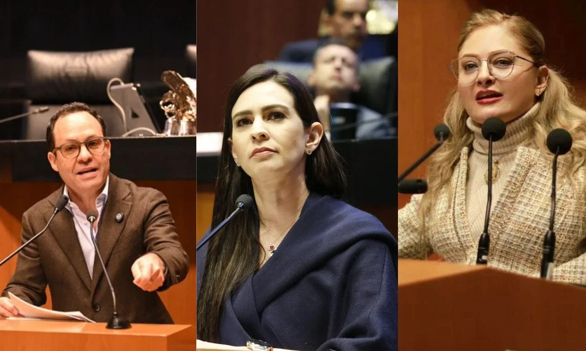 Senadores de oposición cuestionan la legitimidad de una reforma electoral propuesta por el Ejecutivo y el partido en el poder.