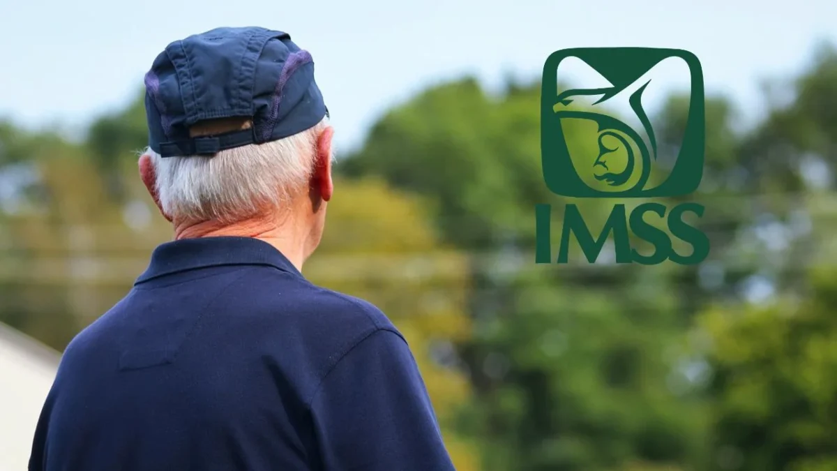 Pensión Vitalicia IMSS 2025: Requisitos y cuántas semanas debo cotizar.