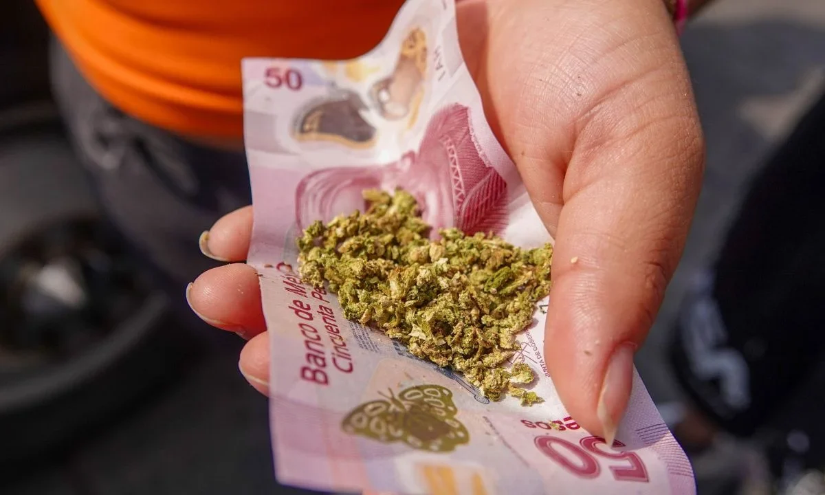 Exige a México elevar combate frontal contra los cárteles, pero en 24 estados y el Distrito de Columbia permite la mariguana recreativa
