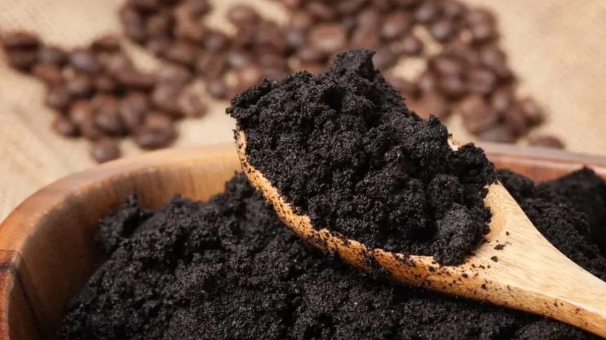 Borra de café