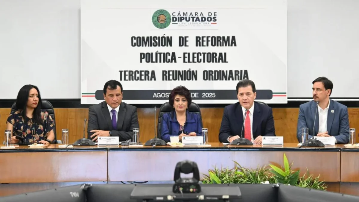 Patricia Avendaño, consejera presidenta del IECM, durante su participación en la reunión sobre la Reforma Política Electoral en la Cámara de Diputados.