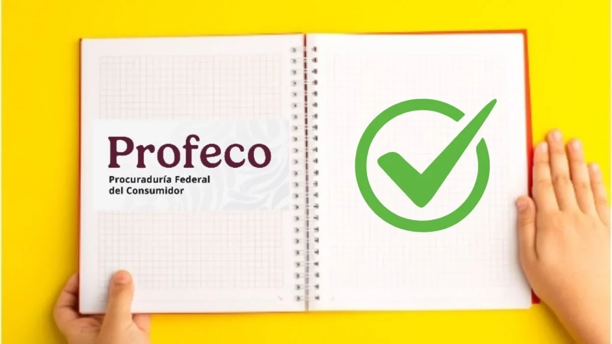 Profeco evaluó la calidad de 21 modelos de cuadernos de diferentes marcas en México, descubre cuáles obtuvieron una calificación excelente.