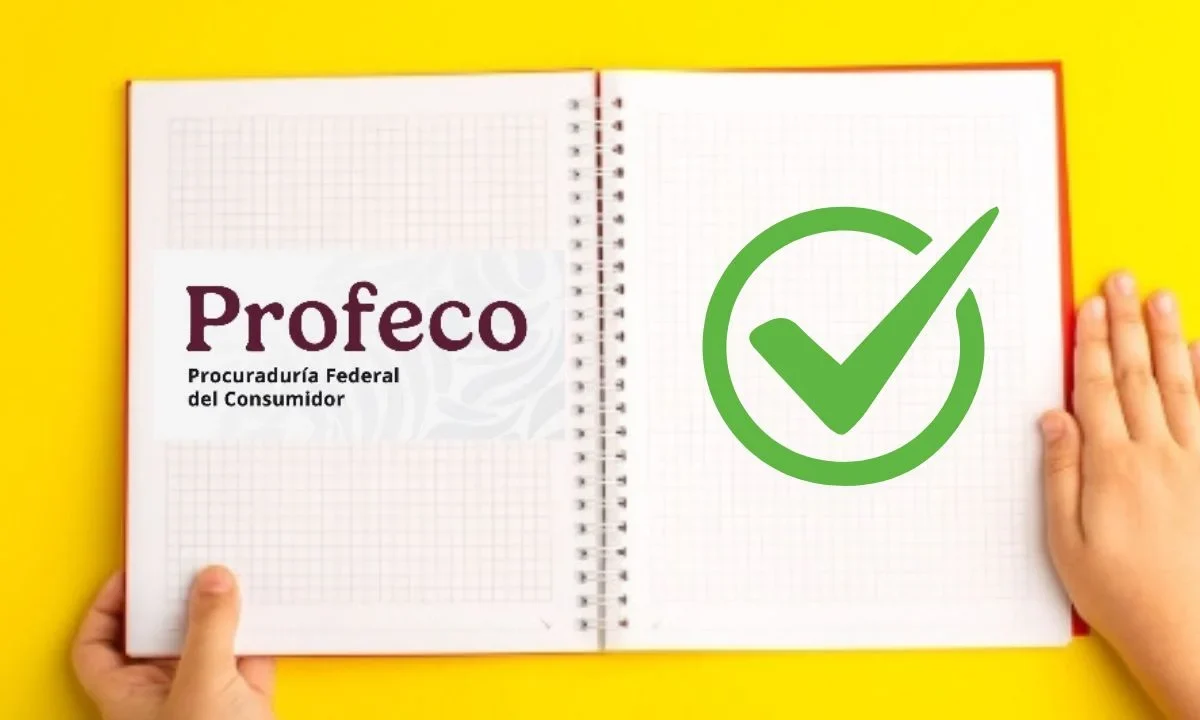 Profeco evaluó la calidad de 21 modelos de cuadernos de diferentes marcas en México, descubre cuáles obtuvieron una calificación excelente.