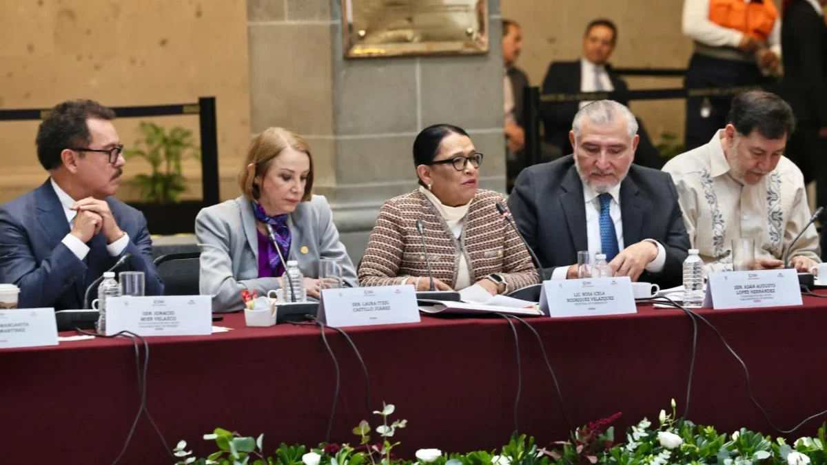 Rosa Icela Rodríguez durante la Tercera Plenaria de Morena en el Senado de la República.