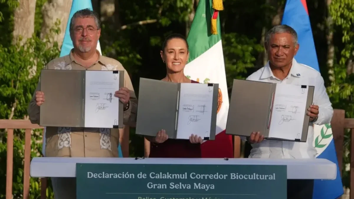 Claudia Sheinbaum resalta la colaboración histórica de México, Guatemala y Belice para conservar la selva Maya y su riqueza natural.
