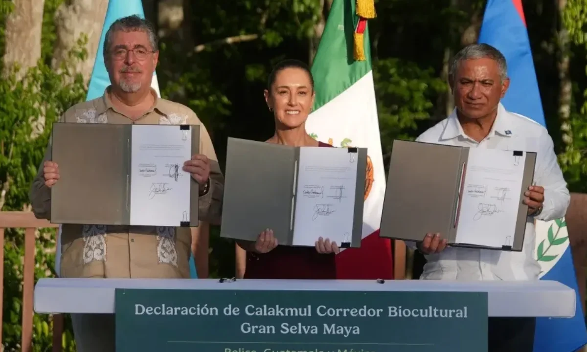 Claudia Sheinbaum resalta la colaboración histórica de México, Guatemala y Belice para conservar la selva Maya y su riqueza natural.