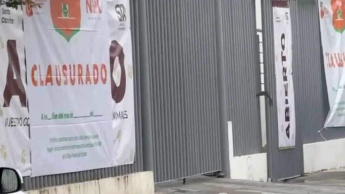 Confirman clausura de albergue animal en Nuevo León por maltrato