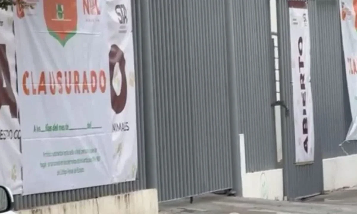Confirman clausura de albergue animal en Nuevo León por maltrato