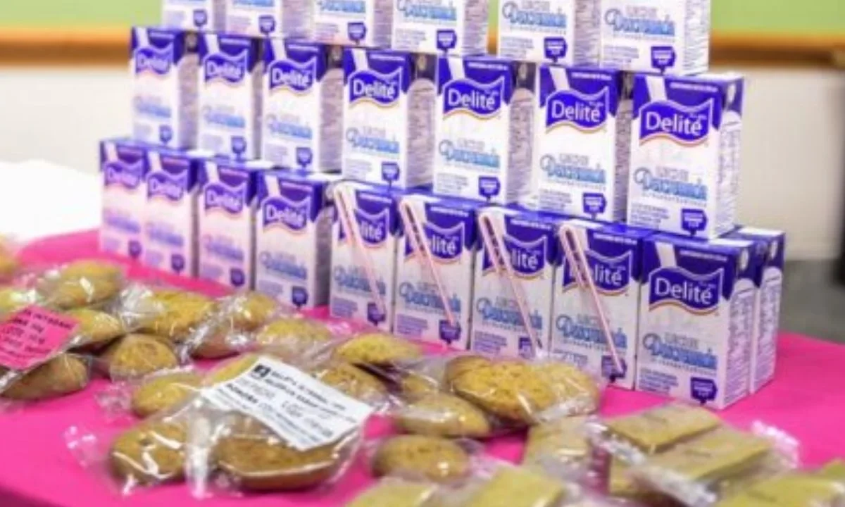 El Desayuno Escolar Frío, esta integrado por: un brik de leche descremadal, una porción de cereal integral, fruta / una porción de verdura deshidratada