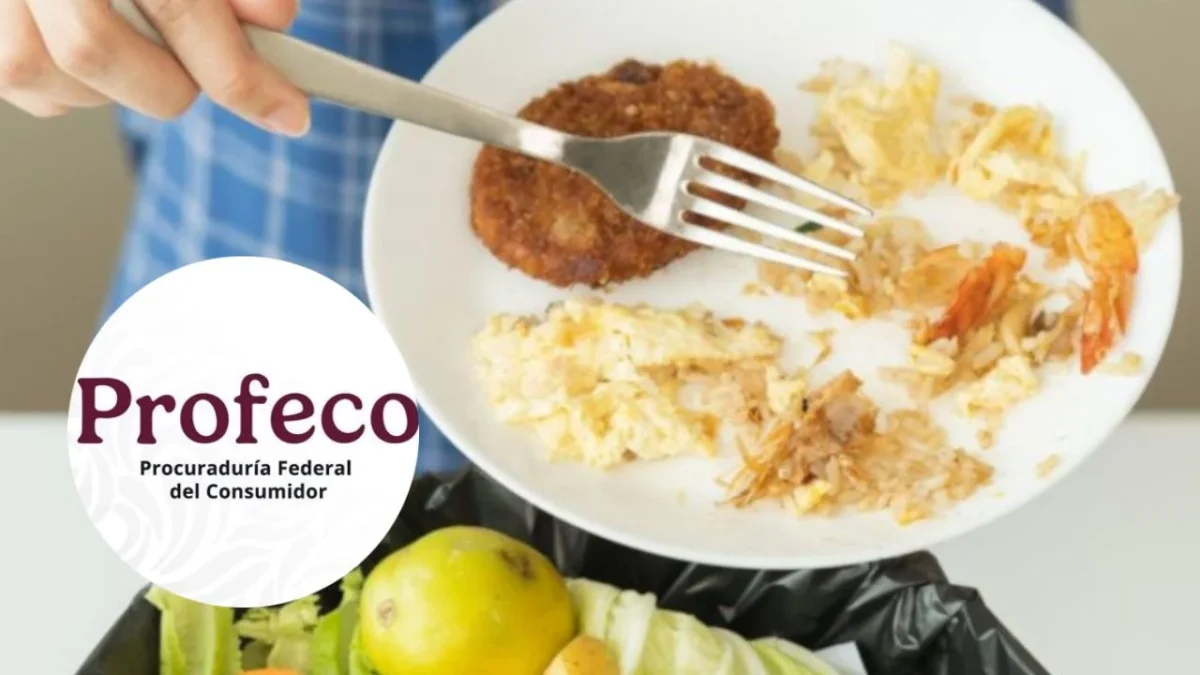 En el Día Internacional de Concienciación sobre la Pérdida de Alimentos, Profeco ofrece consejos para almacenar, reutilizar y donar alimentos.