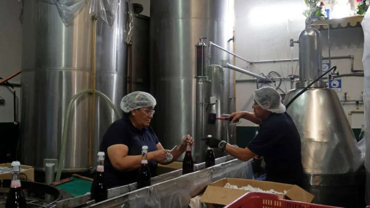 PT propone reformar Ley IEPS, impone cuotas a bebidas alcohólicas