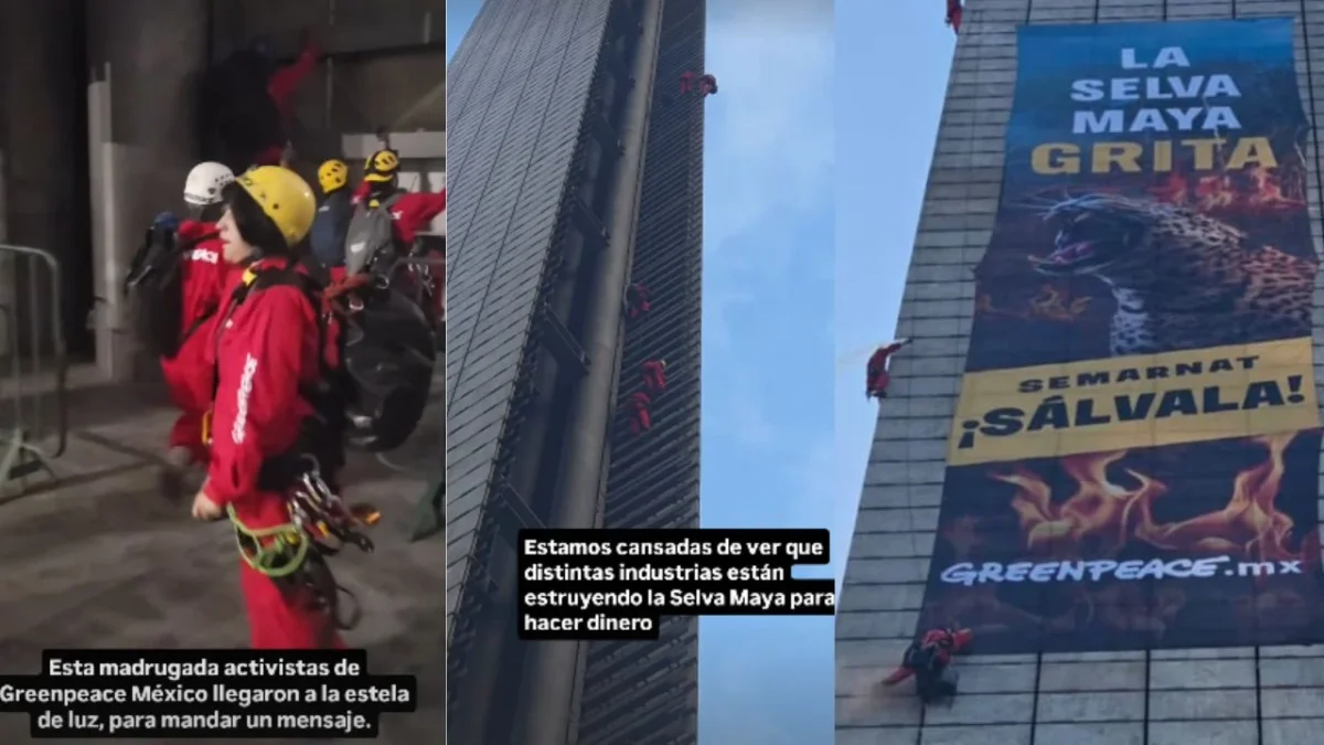 Integrantes de Greenpeace desplegaron una manta en la Estela de Luz, demandando acciones inmediatas para salvar la Selva Maya.
