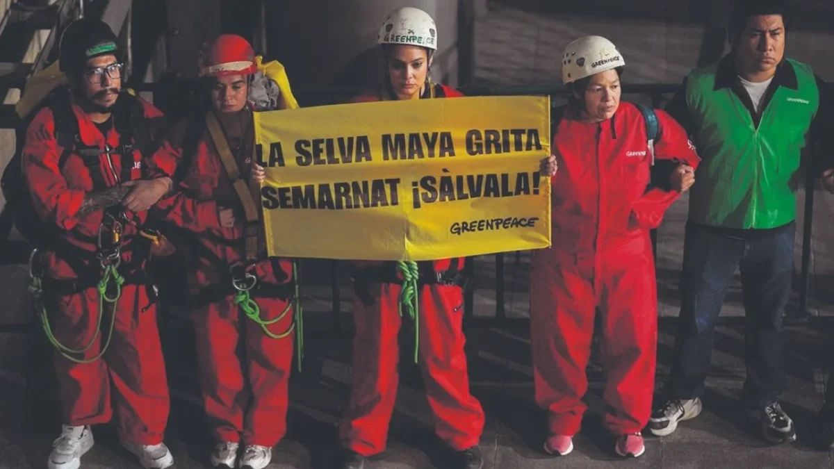 Acuerda Gobierno acciones con Greenpeace para la protección de la Selva Maya