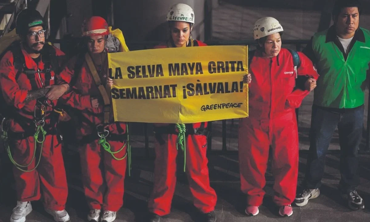 Acuerda Gobierno acciones con Greenpeace para la protección de la Selva Maya