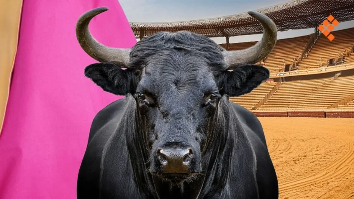 La corrida de toros se realizaría gracias a un amparo conseguido por los organizadores en Morelia.