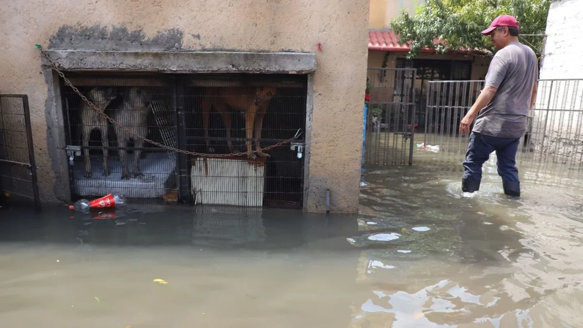 Conagua y Bienestar atienden zonas afectadas por lluvias en CDMX y Edomex