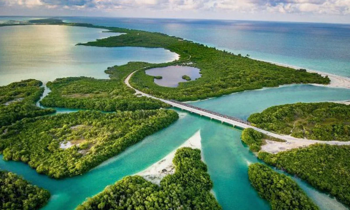 La reducción de recursos compromete la conservación ambiental de reservas estratégicas como Sian Ka’an, Banco Chinchorro y los arrecifes de Cozumel.