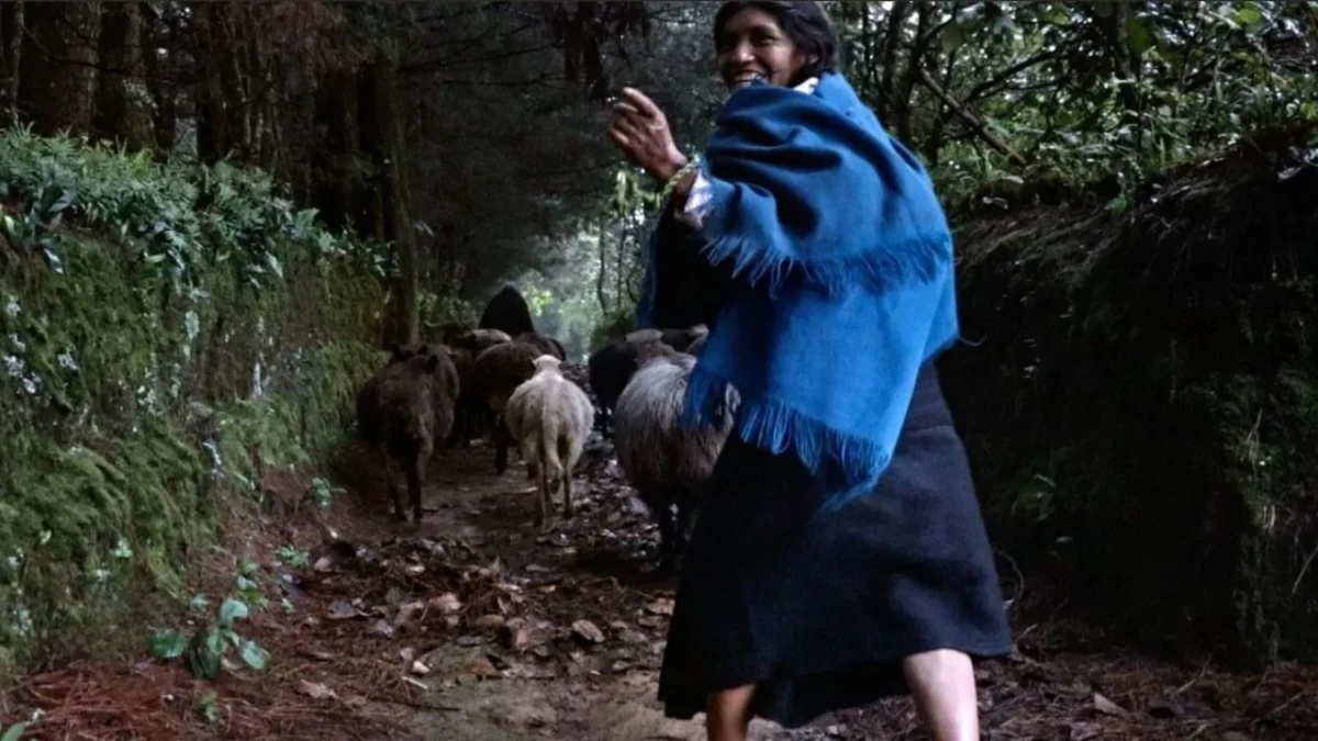“Vientre de Luna” destaca la maternidad y cultura tzotzil, y busca visibilizar saberes ancestrales en el cine.