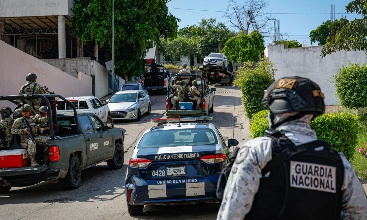 Fuerzas federales y estatales decomisaron en Culiacán armas, cartuchos, explosivos, drogas, vehículos y tigres de bengala durante operativos conjuntos.