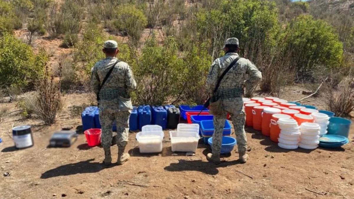 Elementos de la Guardia Nacional y Marina aseguraron narcóticos y químicos en Baja California y Durango para frenar cárteles.