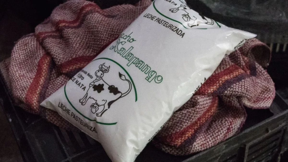Esta es la diferencia entre leche y producto lácteo, según Profeco