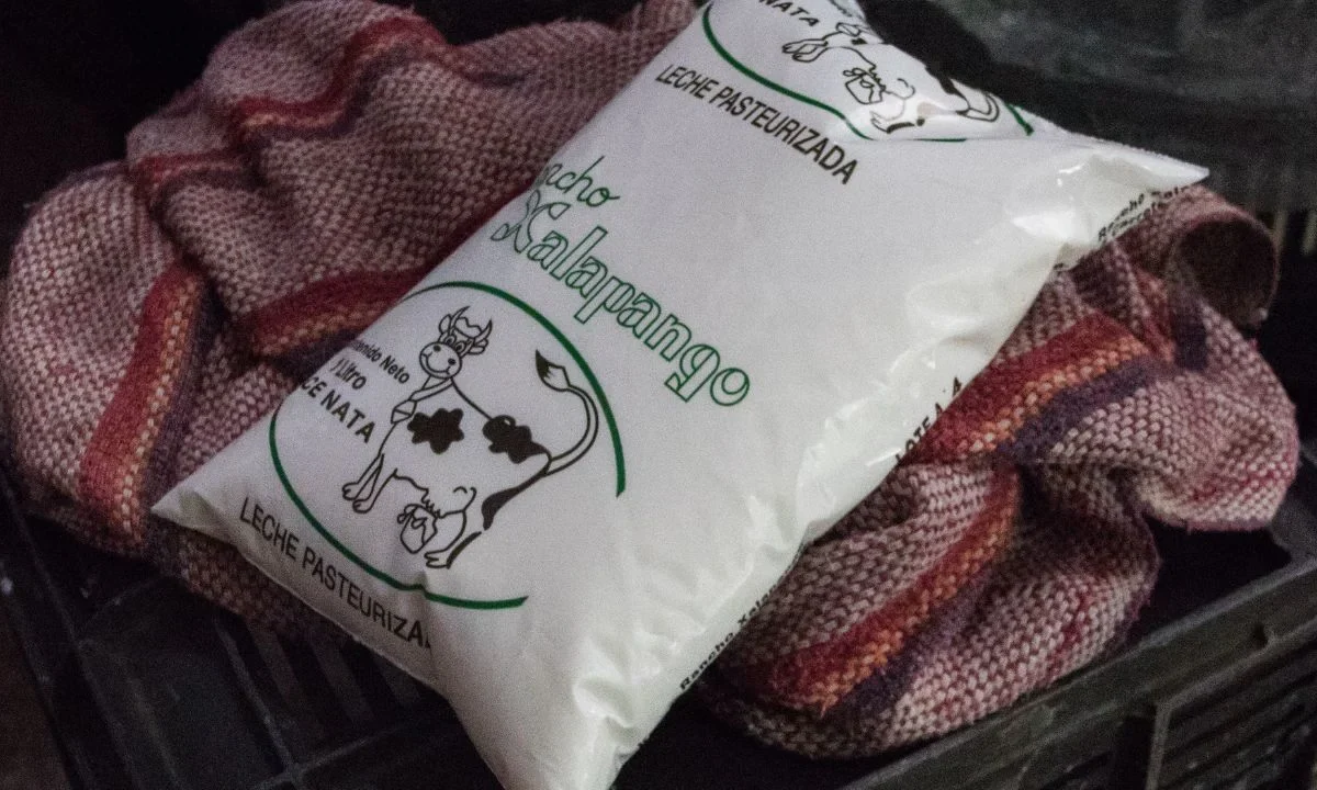 Esta es la diferencia entre leche y producto lácteo, según Profeco