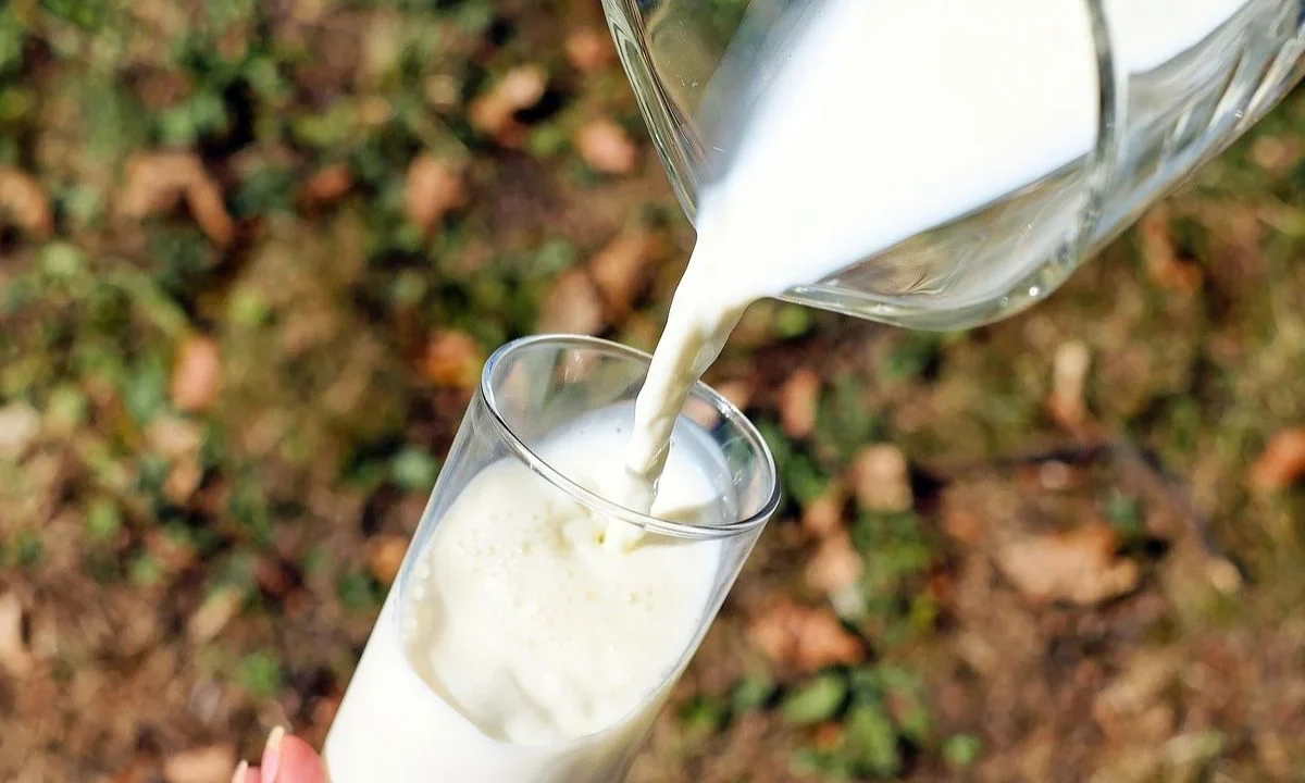 Leche, Profeco