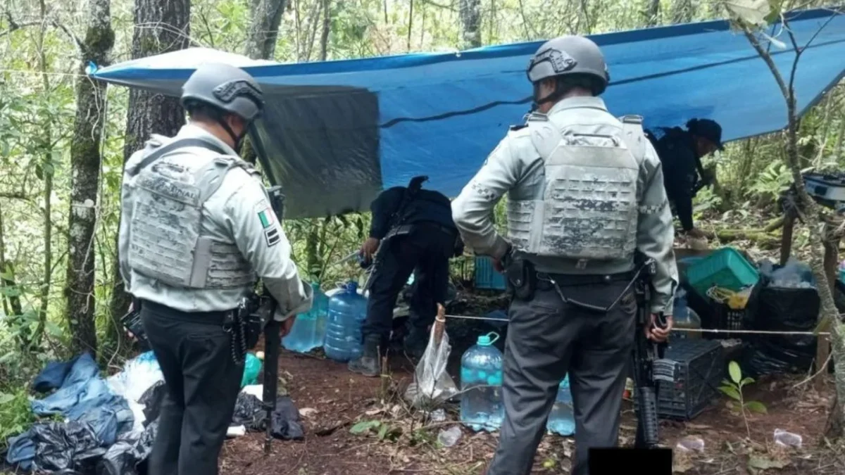 En Michoacán, elementos de la Guardia Nacional localizaron y desmantelaron 6 "narco campamentos".