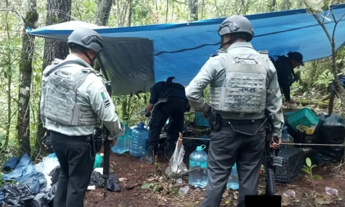 En Michoacán, elementos de la Guardia Nacional localizaron y desmantelaron 6 "narco campamentos".