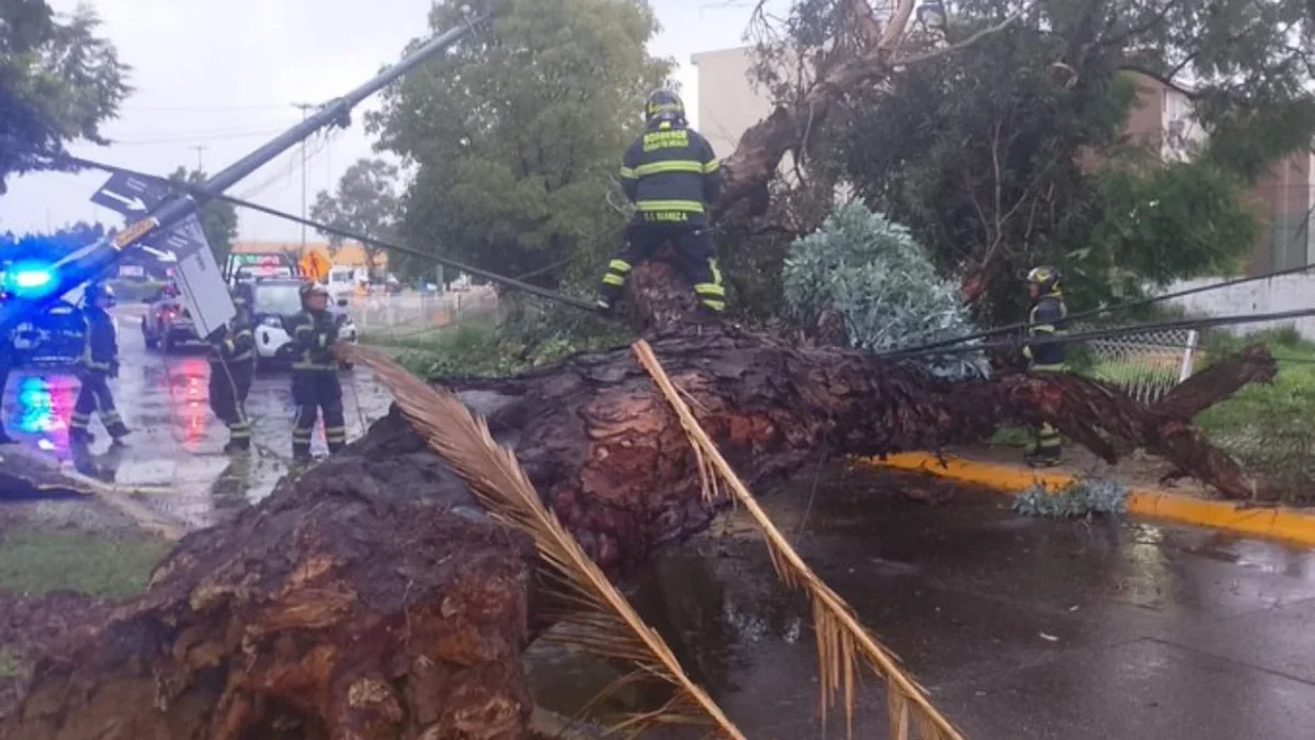 Operativo Tlaloque atendió encharcamientos y árboles caídos tras intensas lluvias registradas este domingo en distintas alcaldías de la Ciudad de México.