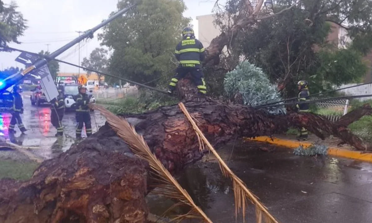 Operativo Tlaloque atendió encharcamientos y árboles caídos tras intensas lluvias registradas este domingo en distintas alcaldías de la Ciudad de México.