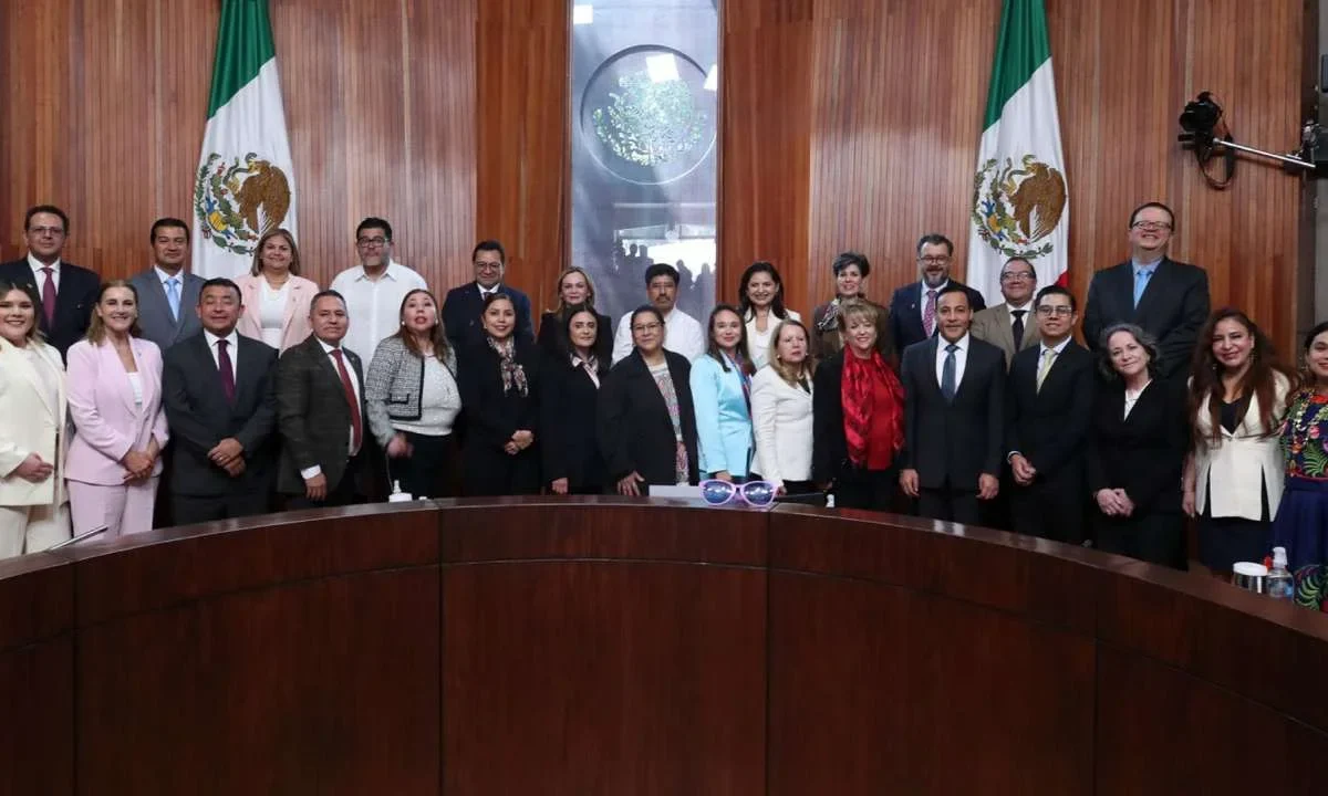 Las magistraturas del TEPJF se reunirán con Comisión Presidencial de reforma electoral para hablar sobre el tema.