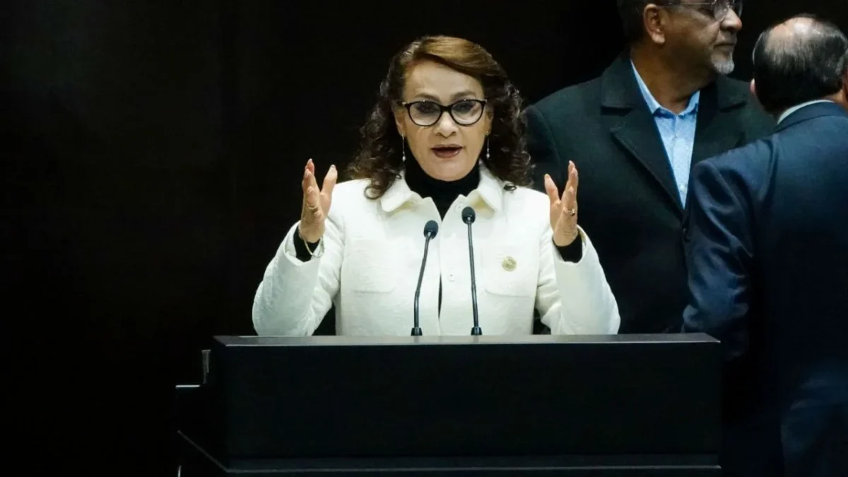 Ricardo Monreal aseguró que no existe división interna en Morena y Dolores Padierna ayudará en el proceso como vicecoordinadora.