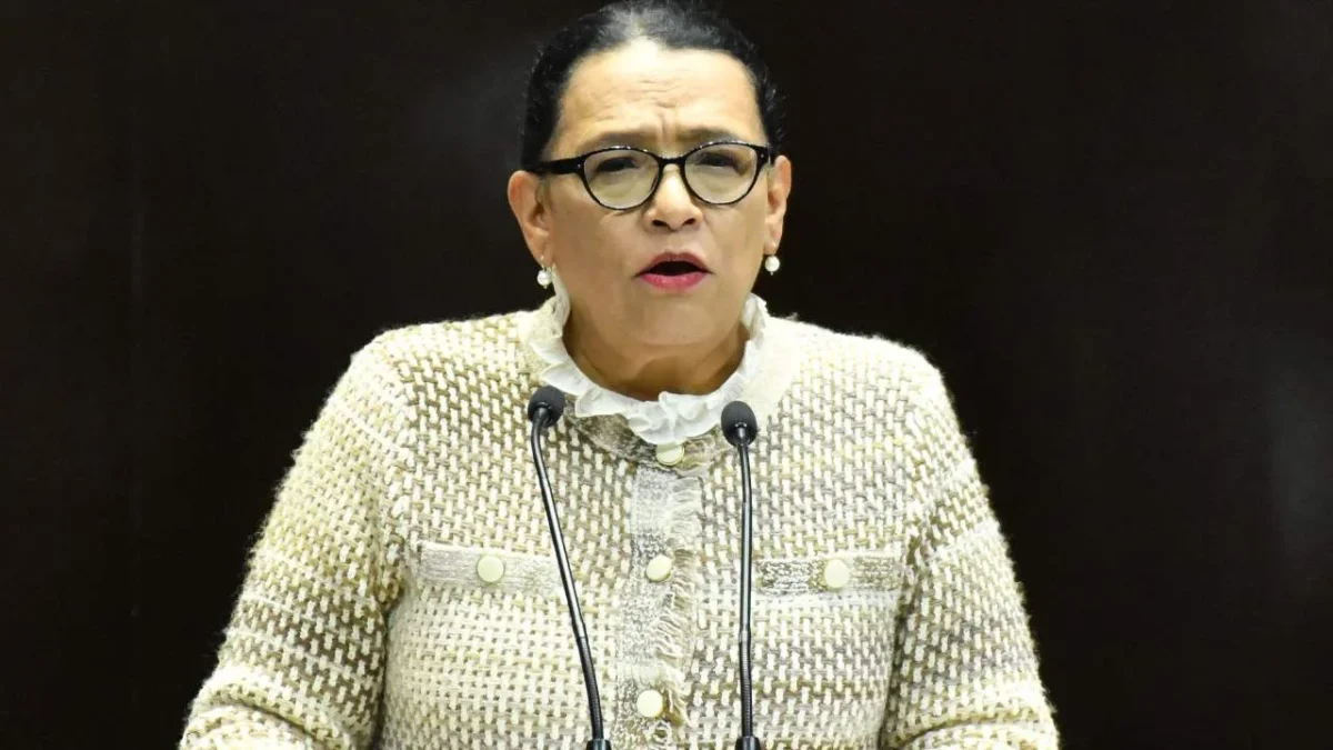 Rosa Icela Rodríguez aseguró que nunca antes se había tomado en cuenta a la ciudadanía para opinar sobre las reformas electorales.