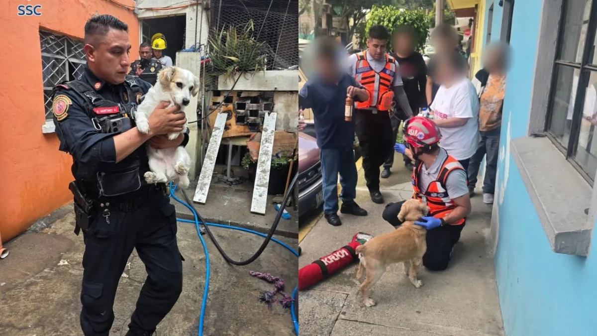 Policías capitalinos rescataron a 2 perritos de incendio en una vivienda en la alcaldía Álvaro Obregón.
