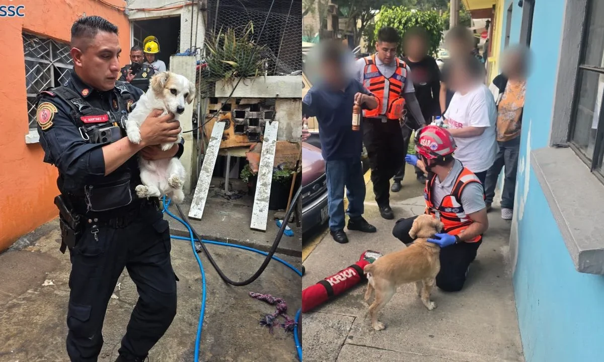 Policías capitalinos rescataron a 2 perritos de incendio en una vivienda en la alcaldía Álvaro Obregón.