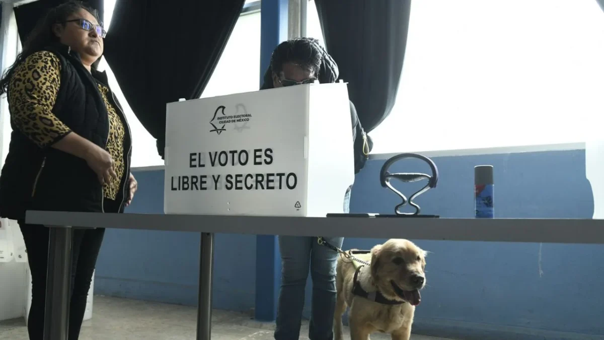 En la CDMX se registraron un millón 703 mil 827 personas con discapacidad para participar en el proceso electoral 2026-2027.