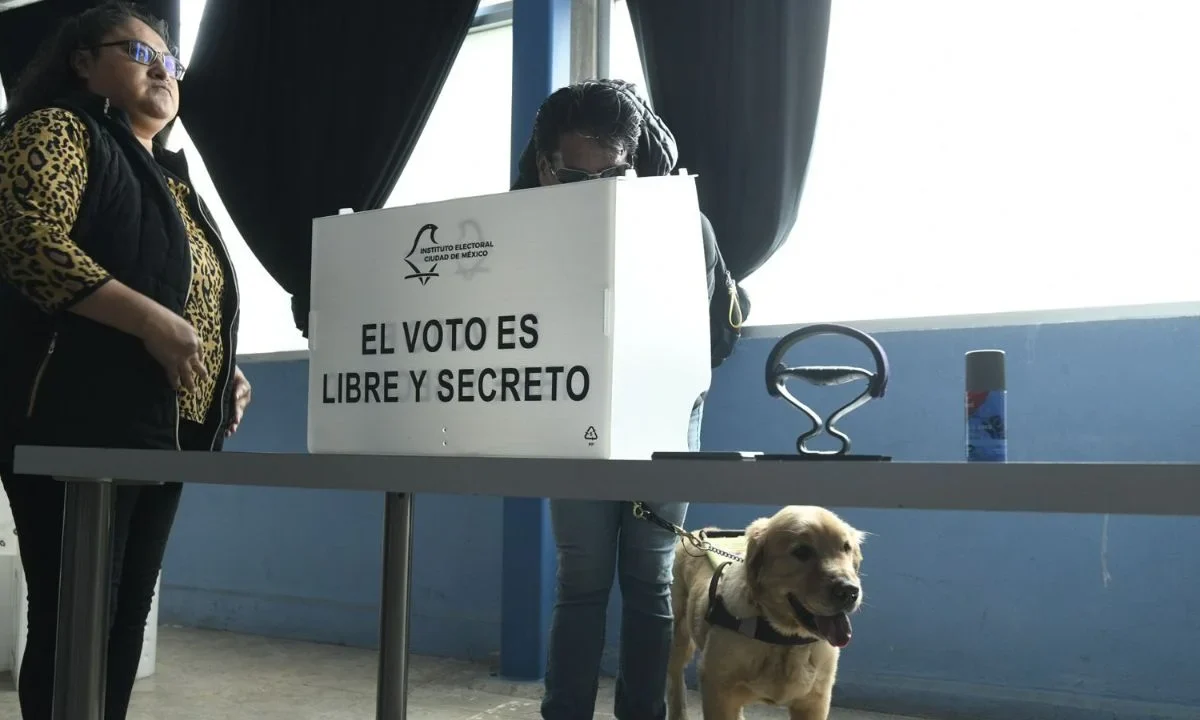 En la CDMX se registraron un millón 703 mil 827 personas con discapacidad para participar en el proceso electoral 2026-2027.