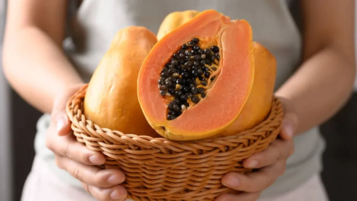 Las principales variedades de papaya son maradol, amameyada, roja y amarilla, entre otras.
