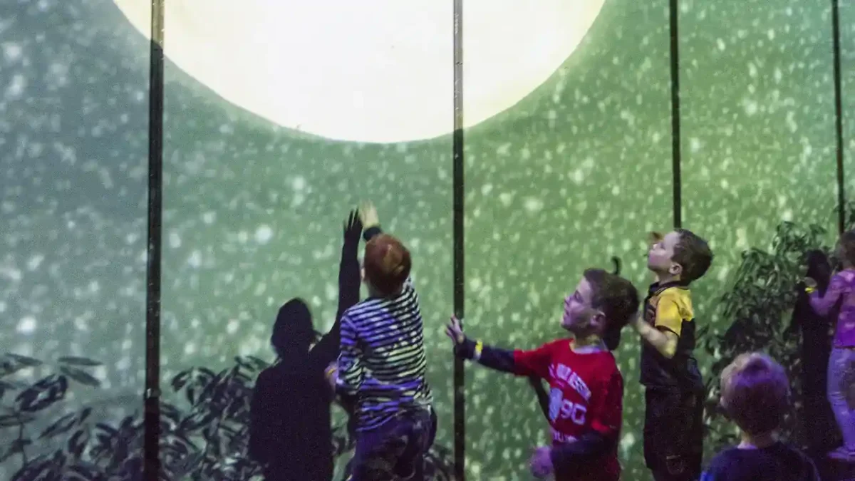 Creature, una instalación interactiva