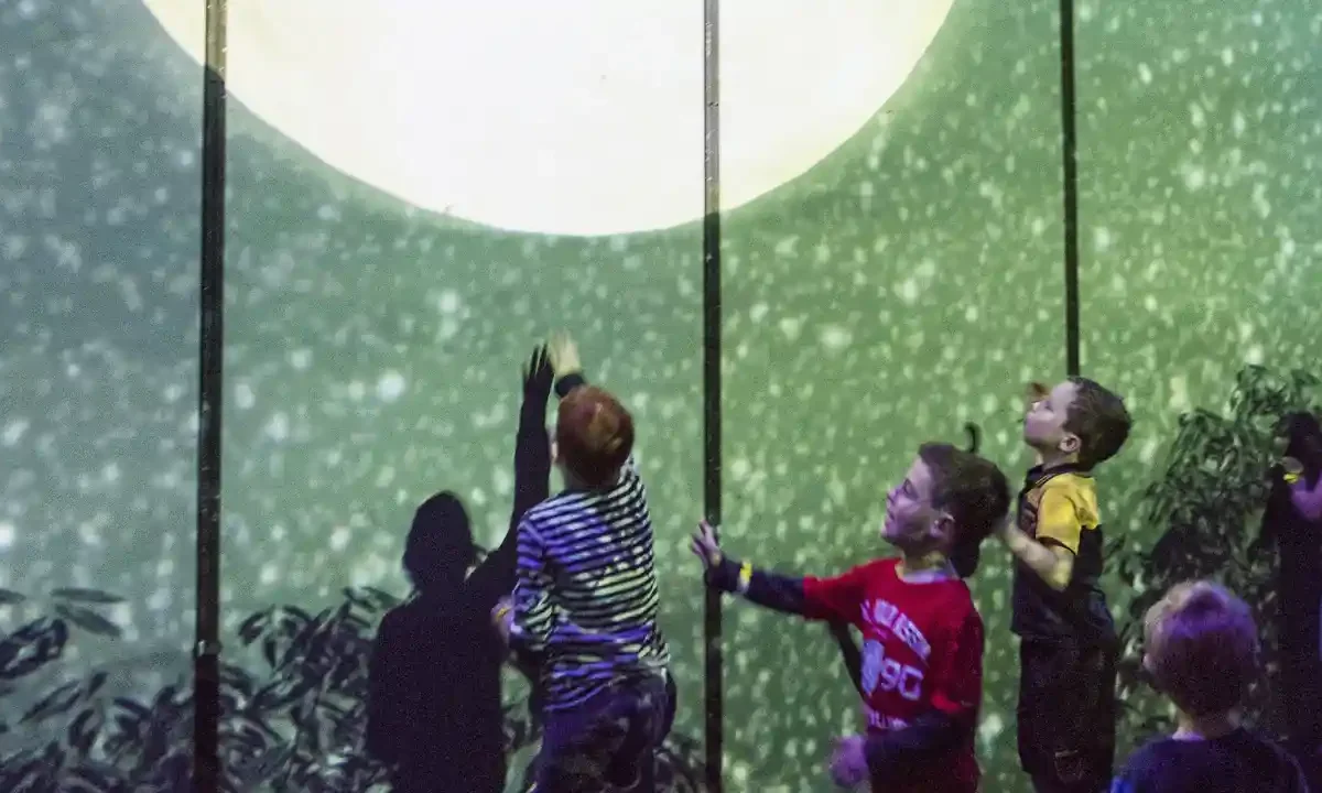 Creature, una instalación interactiva