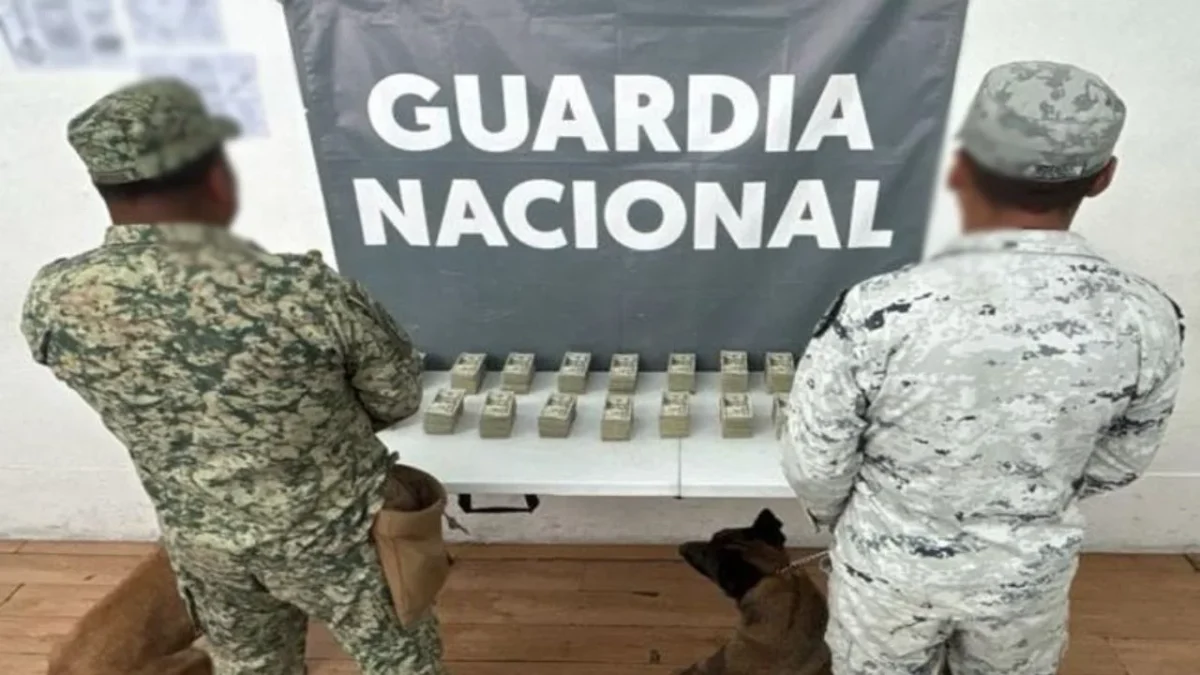 Defensa detiene a 1 con 3.7 mdp en el Aeropuerto de Tijuana