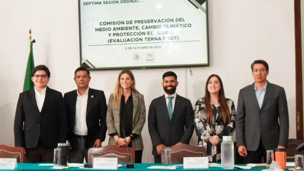 Llamado. Legisladores exhortaron a quienes conforman la terna a cumplir los principios de cero corrupción, eficiencia en los procesos, perspectiva de género y autonomía interinstitucional.